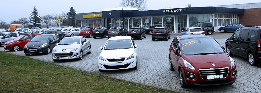 Autohaus Peter in Sömmerda mit vielen ausgestellten Fahrzeugen auf dem Außengelände, Blick auf die gläserne Fassade und Peugeot- und Opel-Logo.