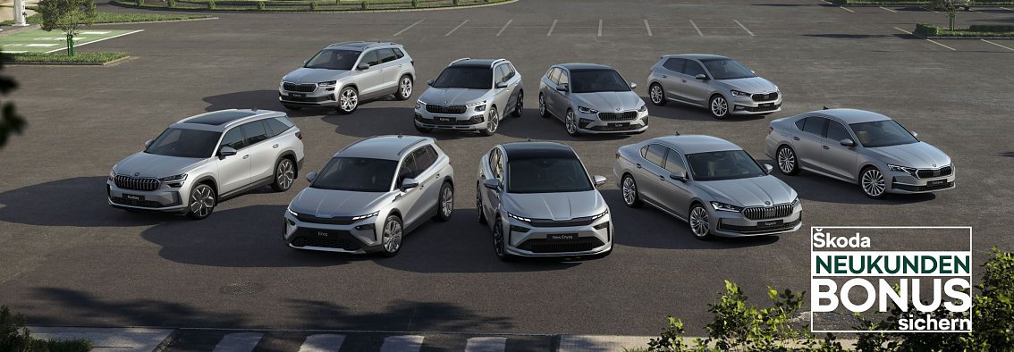 Skoda Range_ 9 silber graue Skoda-Modelle stehen auf einem Parkplatz