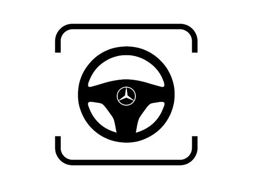 Lenkrad-Icon 