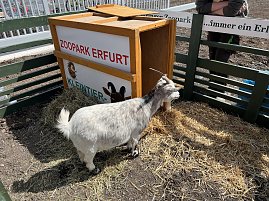 Eröffnung Erfurt - Familientag