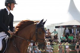 Ein junger Reiter in schwarzer Turnierjacke und Helm sitzt auf einem braunen Pferd mit Fliegenohren. Im Hintergrund sitzen Zuschauer auf B&auml;nken vor wei&szlig;en Pagodenzelten und Sonnenschirmen.
