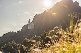 Die Sonne scheint durch die Abendd&auml;mmerung auf das m&auml;rchenhafte Schloss Neuschwanstein, das hoch oben auf einem bewaldeten Berghang thront. Im Vordergrund sind unscharfe Gr&auml;ser und Pflanzen zu sehen, im Hintergrund ragen dunkle Berge auf. Die Szene wirkt romantisch und vertr&auml;umt.