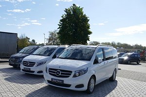 Mehrere weiße ‚Junge Sterne‘ (Gebrauchtwagen) Mercedes-Vans in einer Reihe auf einem gepflasterten Autohaus-Gelände bei blauem Himmel.