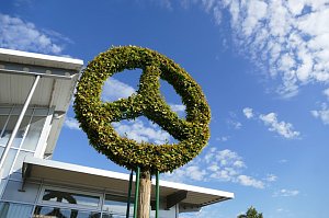 Detailaufnahme eines Baums, der in Form des Mercedes-Stern-Logos gestutzt ist, vor blauem Himmel mit weißen Wolken.