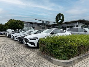 Mercedes-Benz Autohaus mit moderner Glasfassade, davor mehrere schwarze und ein wei&szlig;er Vorf&uuml;hrwagen, zentral ein Baum kunstvoll in Form des Mercedes-Stern-Logos gestutzt