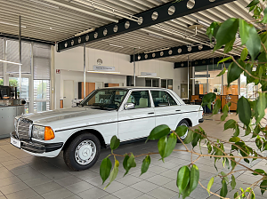 Der helle, moderne Showroom des Autohauses mit einem ausgestellten wei&szlig;en Oldtimer von Mercedes-Benz. Im Vordergrund ragt eine gr&uuml;ne Pflanze ins Bild.