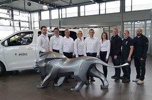 Gruppenfoto des Teams im Peugeot-Autohaus in G&ouml;ttingen. Neun Mitarbeiterinnen und Mitarbeiter in wei&szlig;er und schwarzer Kleidung stehen hinter einer gro&szlig;en grauen L&ouml;wenskulptur, links ein wei&szlig;es Auto mit Peter-Logo.