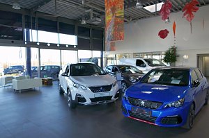 Innenansicht eines Peugeot-Autohauses mit mehreren ausgestellten Fahrzeugen, darunter ein wei&szlig;er SUV und ein blauer Sportwagen. Moderne Einrichtung, Peugeot-Logo an der Wand und herbstliche Dekorationen an der Decke.