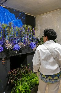 Eine Person von hinten in einer wei&szlig;en Jacke, die in einem Innenraum eine kunstvolle Dekoration aus bl&uuml;henden, blau-violetten Hortensien und langen floralen Elementen betrachtet.