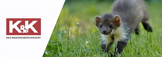 SO VIELSEITIG WIE DER MARDER