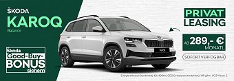 Bei der enthaltenen �koda Anschlussgarantie handelt es sich um eine 36-monatige Garantieverl&auml;ngerung im Anschluss an die zweij&auml;hrige Neuwagengarantie der �koda Auto a.s., mit Sitz in: tř. V&aacute;clava Klementa 869, Mlad&aacute; Boleslav II, PLZ: 293 01, Mlad&aacute; Boleslav, Tschechische Republik, bei einer maximalen Gesamtfahrleistung von 50.000 km innerhalb des Garantiezeitraums. Die Leistungen entsprechen, mit Ausnahme der Lack- und Karosseriegarantie sowie der �koda Garantie f&uuml;r Hochvoltbatterien in BEV- und PHEV-Fahrzeugen, dem Umfang der Neuwagengarantie. � (Autohaus Peter)