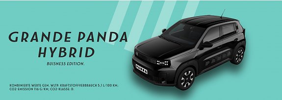 Fiat Grande Panda Buisnes Edition (autohaus peter)