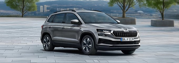 Grauer Skoda Karoq Balance